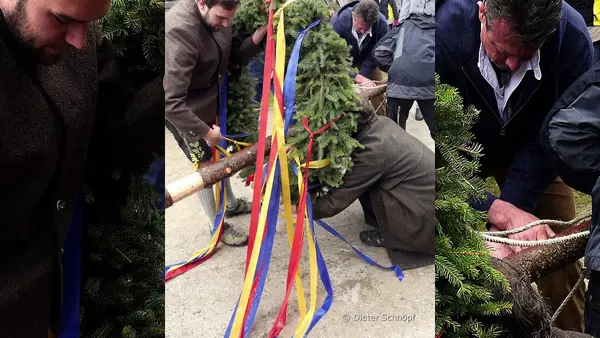 Maibaum Aufstellen 2015