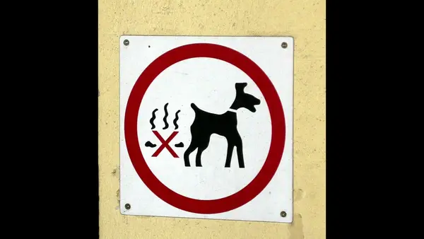 Wien 2004
