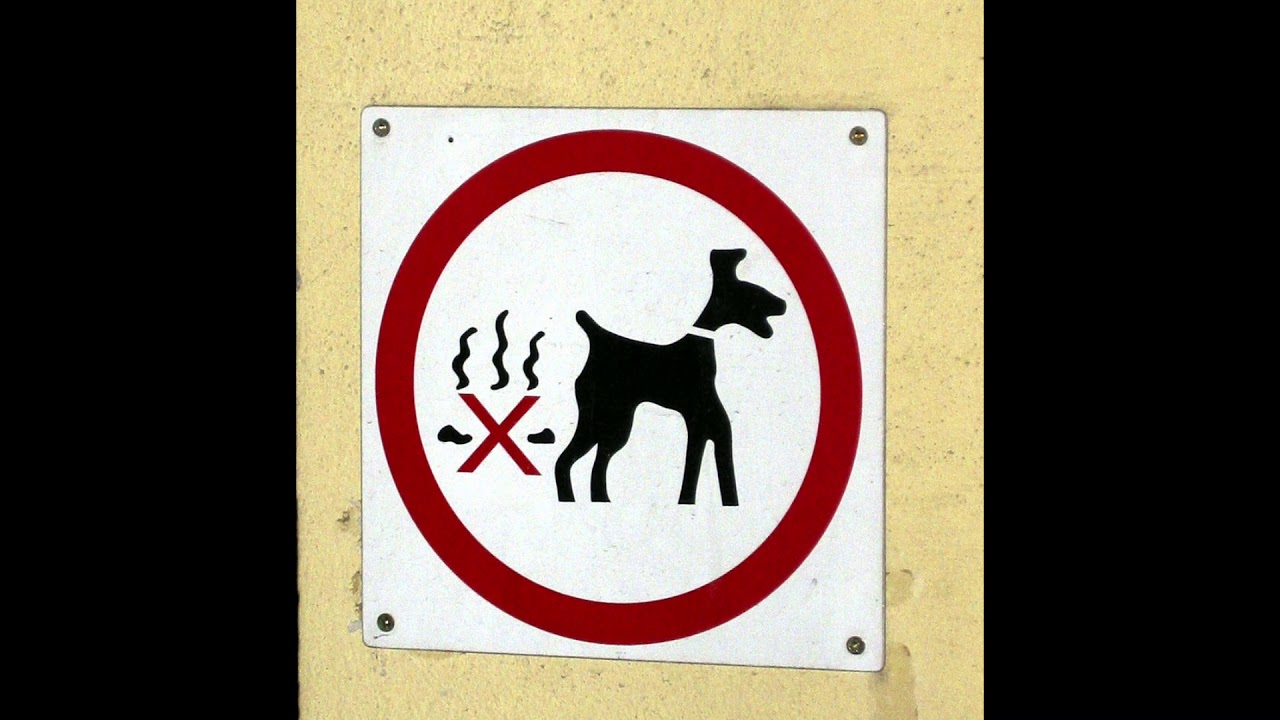 Wien 2004